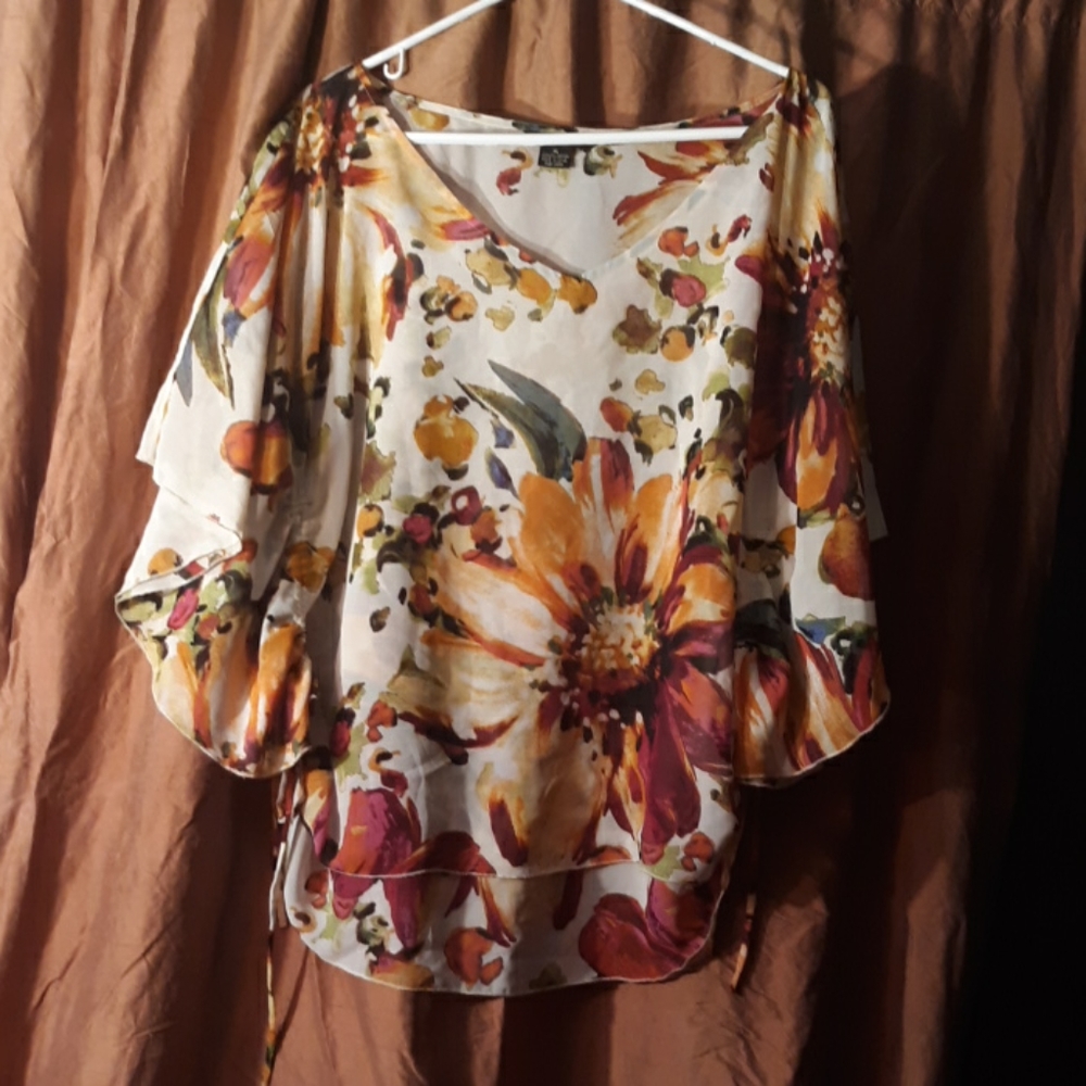 Sunny Taylor butterfly wing sheer XL top like new
